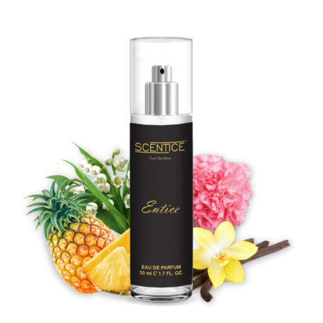 Scentice Long Lasing Perfume Combo Pack - 50ml x 3 Eau De Parfum - Image 2
